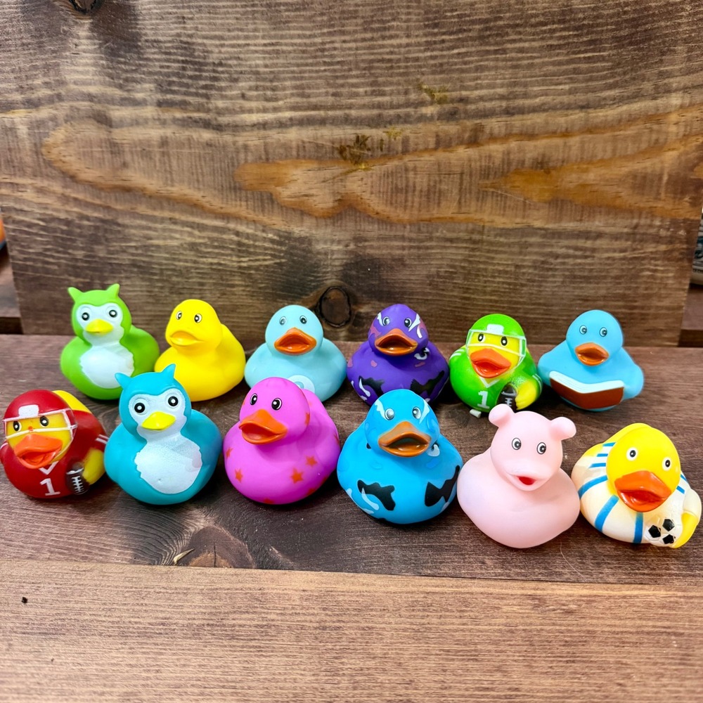 Rinco Assorted Novelty Rubber Ducks Lot 12pc Sports Animal Camo Stars Pig Owl